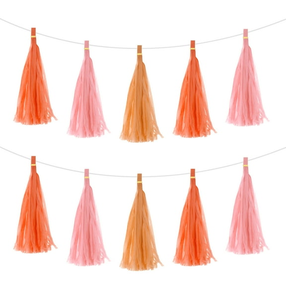 30Pcs Light Pink, Bright Orange, Dark Orange Tassel Garland Banner w Rope for Wedding Birthday Party Decoration
