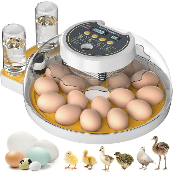 18 Egg Incubator with Automatic Egg Turning and Humidity Control, Egg Incubators for Hatching Eggs Chicken Ducks Goose Quail Pigeon Turkey, Automatic Incubator for Home Classroom Lab Farm