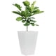 thumbnail image 1 of Maceta Cónica Elly Gris 30.5 cm de Plástico con Drenaje 13 L para Plantas Interior y Exterior, 1 of 5