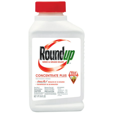 Roundup Weed & Grass Killer Concentrate Plus, 16