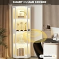 thumbnail image 6 of BROTTAR 65" Corner Glass Display Cabinet with LED Lights, 4-Tier Showcase Display Case with Glass Doors & Human Body Sensor for Collectibles, Liquor, White, 6 of 7