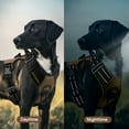 thumbnail image 6 of MASBRILL Reflective Dog Harness No Pull Dog Vest Harness with Handle, Breathable Padded Dog Chest Harness Adjustable for Large Dog-Brown XL, 6 of 10
