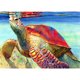 thumbnail image 1 of Taladro de pintura (DE5683) DIY 5D mosaico completo redondo Rhinestone mar tortuga resina Kit 20X30cm FLhrweasw Nuevo, 1 of 1