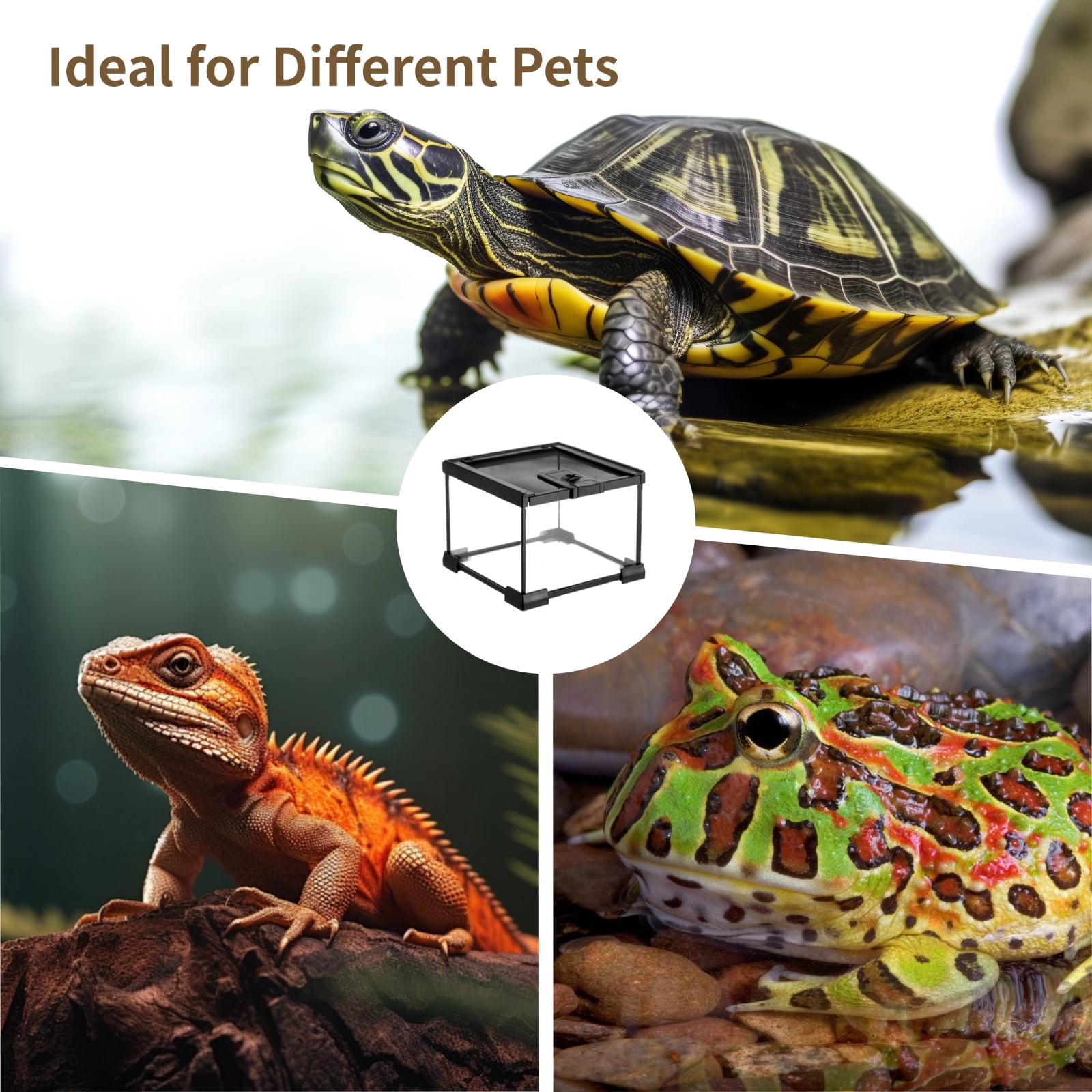 Mini Reptile Glass Terrarium 7.9 x 7.9 x 5.7", Full View Rainforest Vivarium Tank, Stackable Amphibian Enclosure Cage for Turtles, Geckos, Frogs, Hermit Crabs, No Installation Needed
