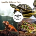 thumbnail image 4 of Mini Reptile Glass Terrarium 7.9 x 7.9 x 5.7", Full View Rainforest Vivarium Tank, Stackable Amphibian Enclosure Cage for Turtles, Geckos, Frogs, Hermit Crabs, No Installation Needed, 4 of 6