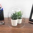 thumbnail image 2 of Plymor 5.5" x 5.5" Glass Display Dome Cloche (no Base), 2 of 2