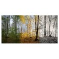 thumbnail image 2 of Forêt le Matin, 2 of 3