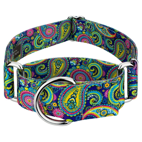 Country Brook Petz® 1 1/2 Inch Bright Paisley Martingale Dog Collar, Medium