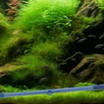 thumbnail image 1 of UPOUART 1Ud Burbujeante Azul Para De Peces Con Ventosas Para Fijación Segura, 1 of 8