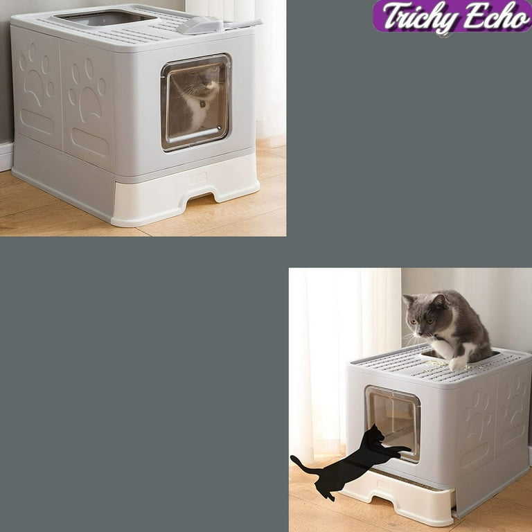 Are Cats Easy To Litter Train