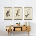 thumbnail image 6 of French Owls IV - Framed Premium Gallery Wrapped Canvas L Frame 3 Piece Set - Ready to Hang, 6 of 9