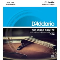 D'Addario EJ78 Phosphor Bronze Mandocello Strings (22-74)