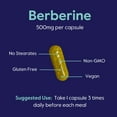 thumbnail image 6 of BESTVITE Berberine 500mg (120 Vegetarian Capsules) - No Fillers - No Stearates - Vegan - Gluten Free - Non GMO, 6 of 7