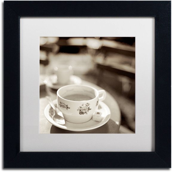 Trademark Fine Art "Jardin du Luxembourg II" Canvas Art by Alan Blaustein, White Matte, Black Frame