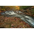 thumbnail image 2 of Jaynes Gallery 14x11 White Modern Wood Framed Museum Art Print Titled - USA-Maine-Acadia National Park Stream rapids in forest, 2 of 4