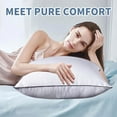Euro Pillows 20''x20'' Pillow Inserts, Square Sham Insert for Bed Throw