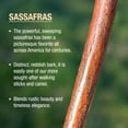thumbnail image 3 of Brazos Rustic Wood Walking Stick, Sassafras, Traditional Style Handle, for Men & Women, Made in the USA, 55", 3 of 5
