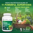Dr. Berg Organic Superfood Greens Supplement, 250 EasytoSwallow Tablets