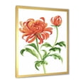 thumbnail image 2 of Designart 'Ancient Orange Chrysanthemum Flower' Traditional Framed Art Print, 2 of 4