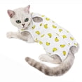 thumbnail image 5 of CHBORLESS Cat Postoperative Recovery Clothing Kitten Protective Anti-licking Weaning Clothes, 5 of 5