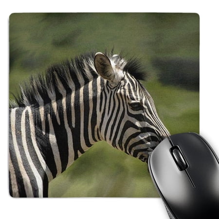 3dRose  Zebra  MousePad price history on PriceWatchPro