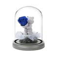 thumbnail image 1 of Oso de confesión de rosa de flores preservadas en cúpula de cristal, regalo para el día de San Valentín, día de la madre, cumpleaños, 1 of 5