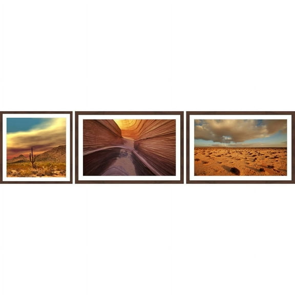 Desert Views Triptych