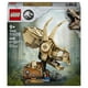thumbnail image 2 of Set LEGO Jurassic World Fósiles de Dinosaurios: Cráneo de Triceratop 76969, 2 of 4