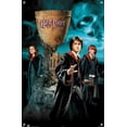 thumbnail image 4 of Harry Potter and the Goblet of Fire - Group Wall Poster with Push Pins, 14.725" x 22.375", 4 of 6