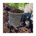 thumbnail image 2 of Protector de raíces de plantas de malla densa de 6 piezas Cesta de alambre de acero inoxidable reutilizable de 5 galones para jardín, duradera, 2 of 5