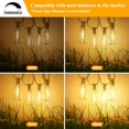 thumbnail image 4 of String Light Brightever, 7,6 m, 13 bombillas LED E12 impermeables, 4 of 7