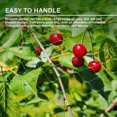 thumbnail image 3 of 2PCS Garden Netting, Plant and Ponds Protection, Cat Proof Garden Net, Versatile Fine Mesh Garden, 4X10m, 3 of 5