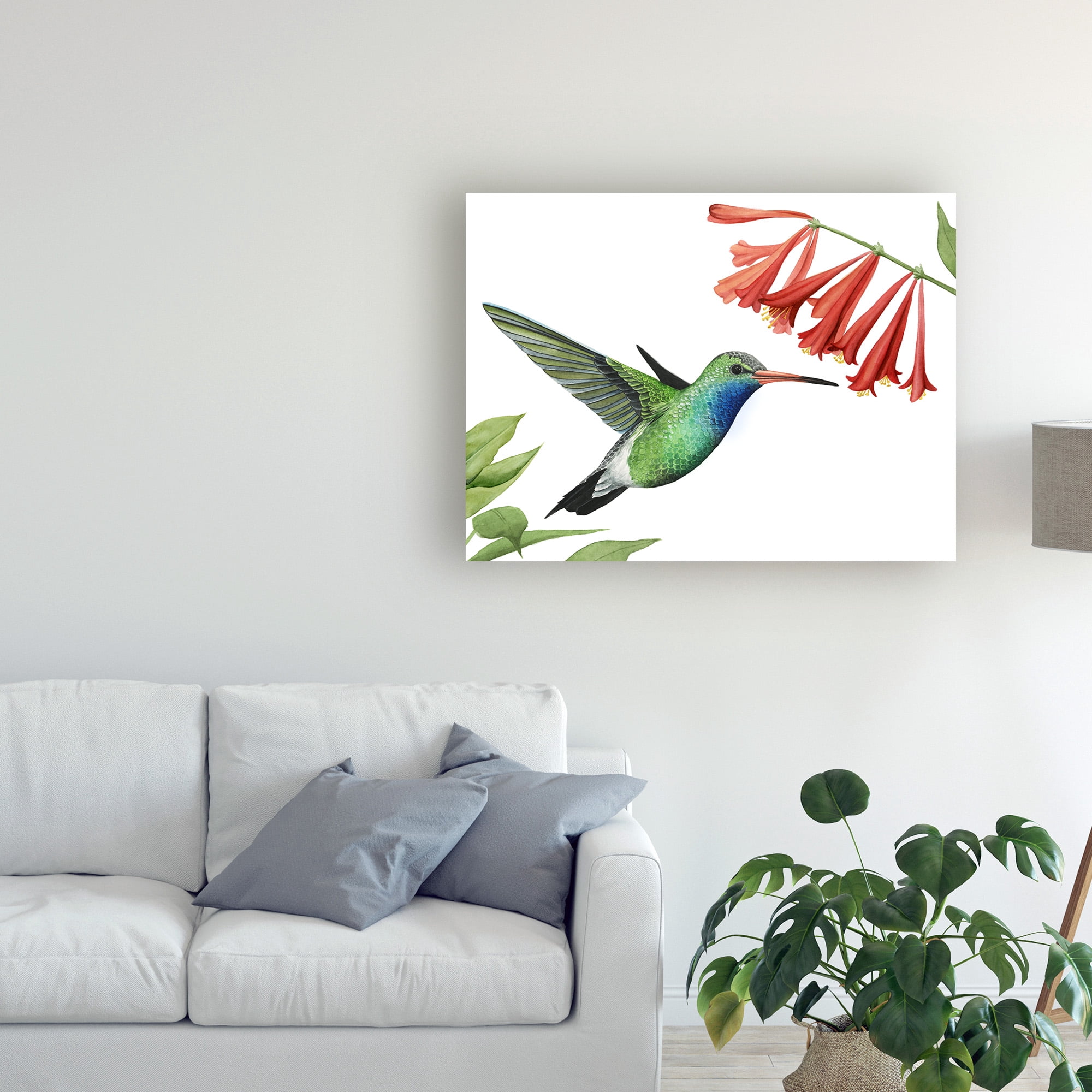 Trademark Fine Art 'Hummingbird And Flower II' Canvas Art by Grace Popp