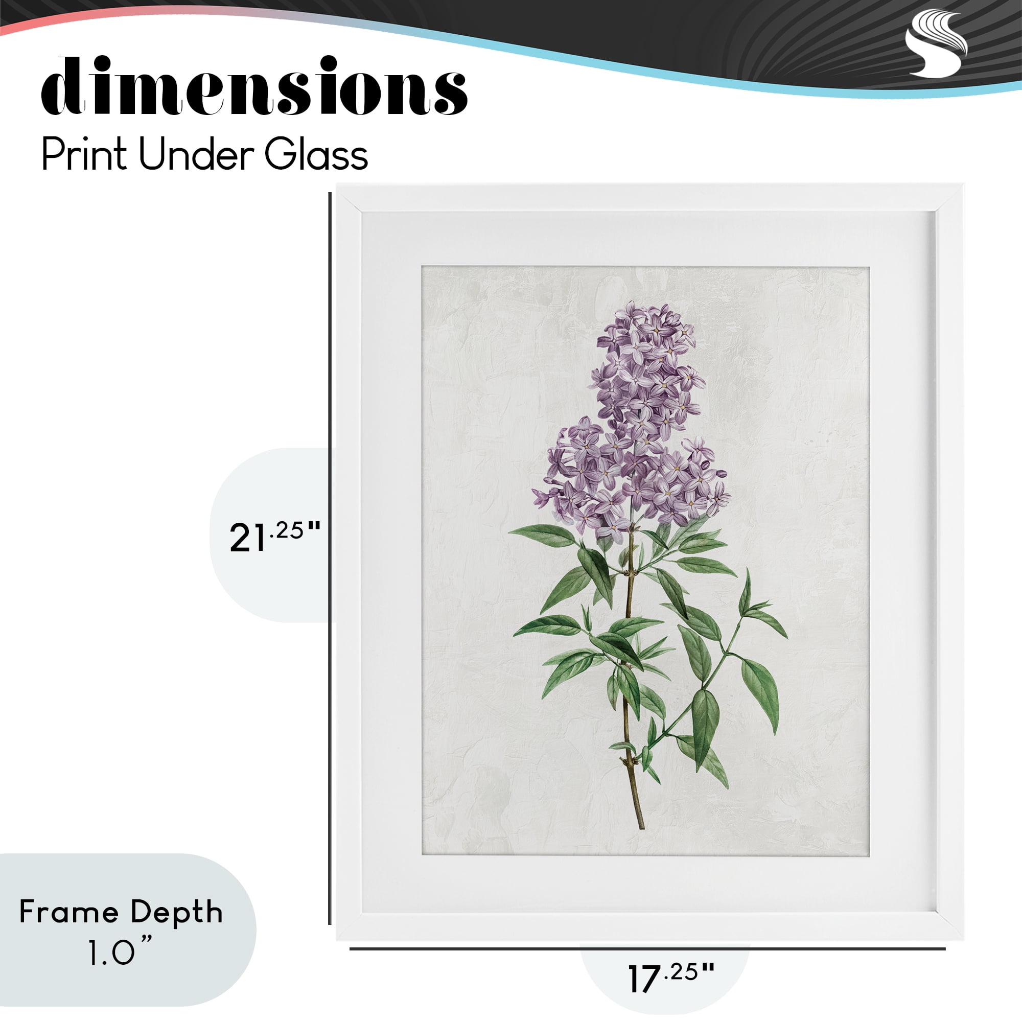 Stupell Industries Lilac Blossoms Blooms White Framed Print Under Glass, design by Kim Allen