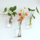 thumbnail image 2 of EeaseMX Jarrón de cristal para flores, creativo, para plantar agua, colgante, terrario, para el hogar (6 x 18 cm), 2 of 8