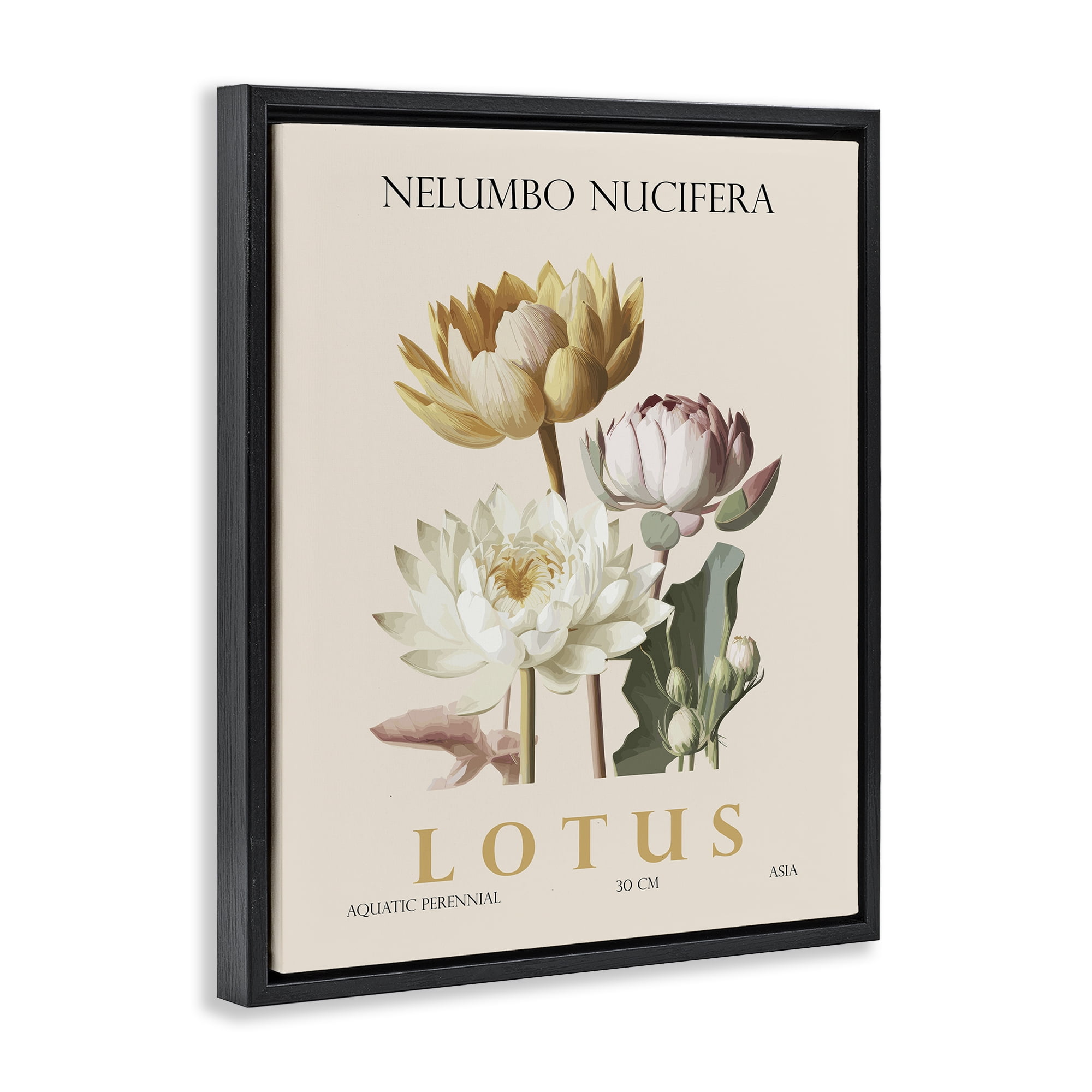Stupell Industries Natural Lotus Bundle Black Framed Floater Canvas Wall Art, design by Christopher Giampietro