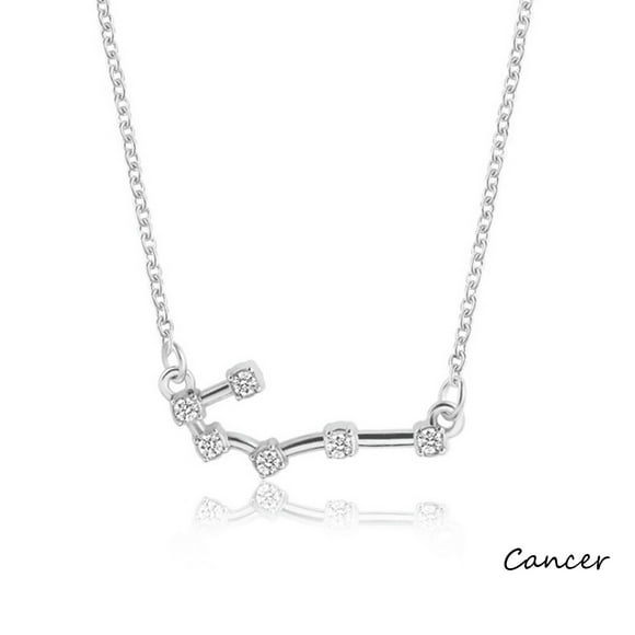 Openpig Sterling Silver Astrology 12 Constellation Horoscope Astrology Zodiac Necklace Birthday Jewelry for Women