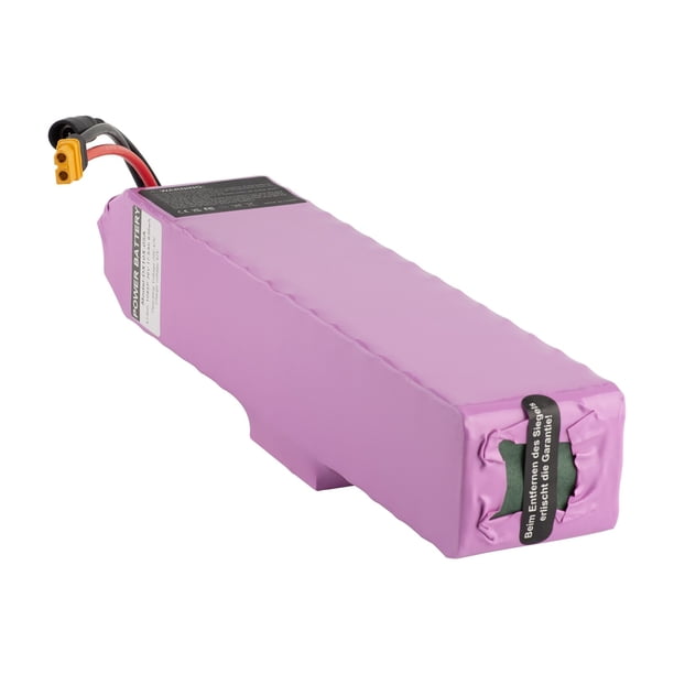 CAO MM 48V 8Ah Lithium Battery for 750W Ebike, Electric Bike Motor with Charger