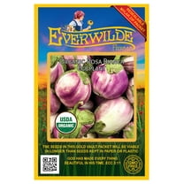 Everwilde Farms - 50 Organic Rosa Bianica Eggplant Seeds - Gold Vault Jumbo Bulk Seed Packet