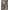 Brown, variant on Well Woven Madison Shag Safari Zebra Animal Print Brown 5' x 7'2" Thick Area Rug