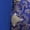 Blue, variant on Women’s Anne Boleyn Tudor Queen Renaissance Elizabethan Style Ball Gown Dress Set