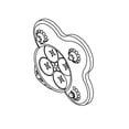 thumbnail image 1 of SHURflo Ensemble de Valve de Pompe à Eau Fraîche 94-800-01, 1 of 1