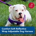 thumbnail image 2 of Arnés para perros Coastal Comfort, suave y reflectante, ajustable, 2,5 x 71 — 91 cm, 2 of 7