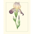 thumbnail image 2 of Unknown 15x18 Black Ornate Wood Framed with Double Matting Museum Art Print Titled - Purple Irises III, 2 of 4
