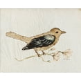 thumbnail image 2 of Murdock, Ramona 14x12 Gold Ornate Wood Framed with Double Matting Museum Art Print Titled - Bird Study No. 1, 2 of 4
