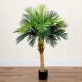 thumbnail image 6 of Nearly Natural 58" Robellini Palm Artificial Tree, 6 of 6