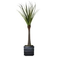 thumbnail image 1 of Vintage Home Artificial Faux Real Touch 70" Tall Real Touch Agave And Fiberstone Planter, 1 of 1