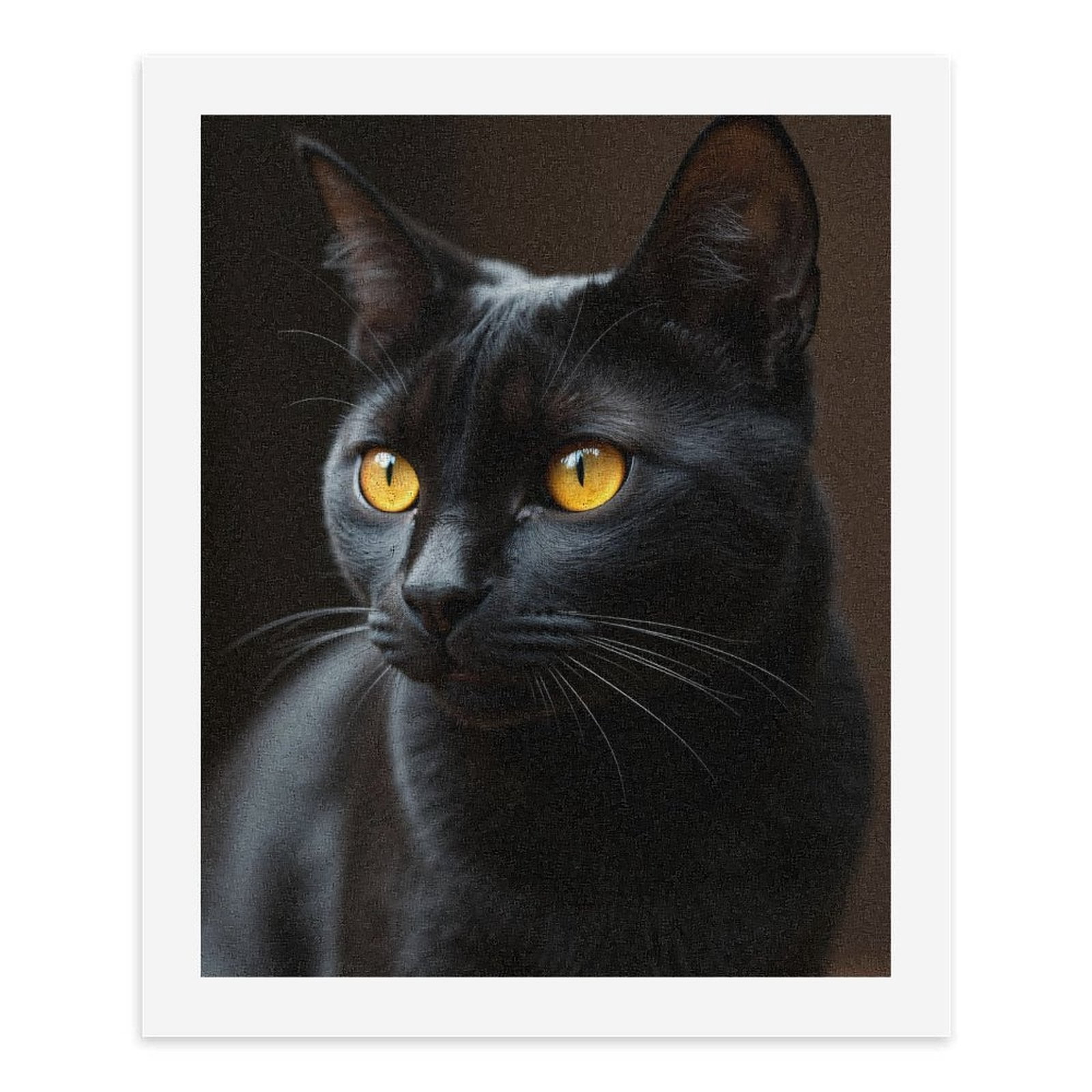 Paint by Numbers Kit for Adults, Black Cat Golden Eyes Portrait Paint by Numbers, Easy Paint by Numbers Kit for Adults Beginner, DIY Adult Paint by Number Kits on Canvas, Home Decor