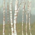 thumbnail image 3 of Goldberger, Jennifer 15x15 Black Modern Framed Museum Art Print Titled - Simple Birchline II, 3 of 5