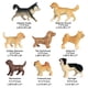 thumbnail image 3 of Figuras de perro de PVC de simulación, figuras de perro, modelo de juguete, juguetes educativos de aprendizaje, juego de figuras de perro, modelo de juguete de alta capacidad, 3 of 9